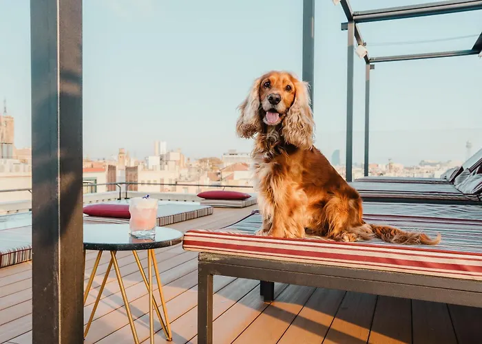 Kimpton Vividora By Ihg ホテル バルセロナ