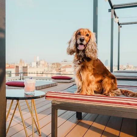 Kimpton Vividora Hotel, An Ihg Hotel Barcelona